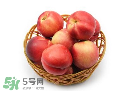 三華李可以泡酒嗎？三華李可以多吃嗎？