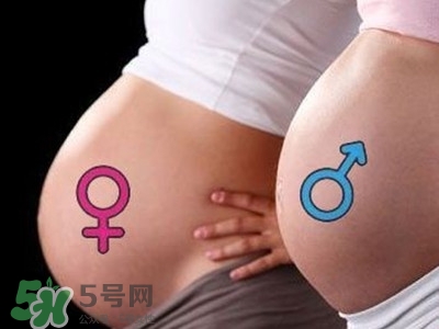 B超單數據怎么看男女？B超單看男女準嗎？