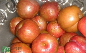三華李可以泡酒嗎？三華李可以多吃嗎？