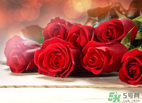 母親節(jié)送什么顏色的玫瑰花？母親節(jié)送幾朵玫瑰花？