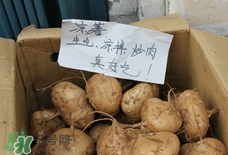 涼薯怎么做好吃？涼薯怎么炒好吃