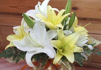 百合花多少錢一支2017？百合花多少錢一束2017？
