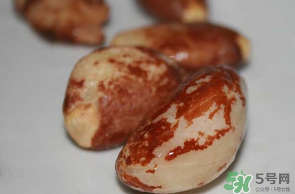 榴蓮核能種嗎？榴蓮核怎么種盆栽？