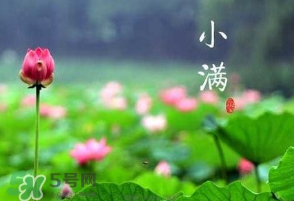 2017小滿是幾月幾日？小滿節氣養生