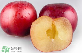 李子可以和西紅柿一起吃嗎？西紅柿和李子能同吃？