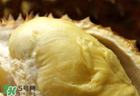 金枕頭榴蓮幾月份上市？金枕頭榴蓮什么時候上市？