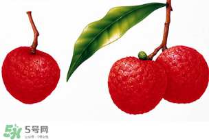 拉肚子能吃荔枝嗎 ？拉肚子可以吃荔枝嗎 ？