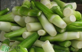 茭白是什么菜？茭白是什么植物