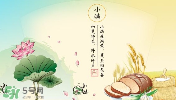 節(jié)氣小滿大滿是什么意思？24節(jié)氣為什么沒有大滿