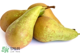 比利時啤梨要削皮嗎？比利時啤梨怎么放軟
