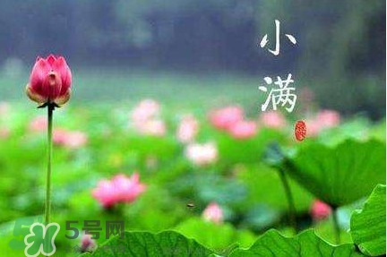 節(jié)氣小滿大滿是什么意思？24節(jié)氣為什么沒有大滿