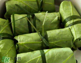 荷葉可以包粽子嗎？荷葉怎么包粽子？