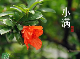 ?小滿可以回娘家嗎？?小滿能回娘家嗎？