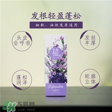 植觀洗發水多少錢?植觀洗發水價格是多少?