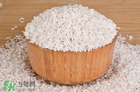 江米泡多久才可以包粽子？江米包粽子跑多長(zhǎng)時(shí)間？