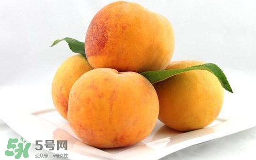 碭山黃桃幾月成熟？碭山黃桃幾月上市