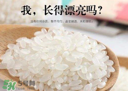 大米可以包粽子嗎？包粽子大米要泡多久？