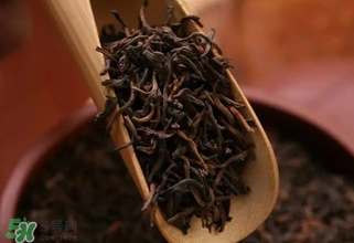 普洱茶能不能天天喝？天天喝普洱茶好嗎？