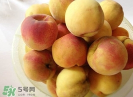 黃桃是杏子嗎？黃桃和杏子的區別