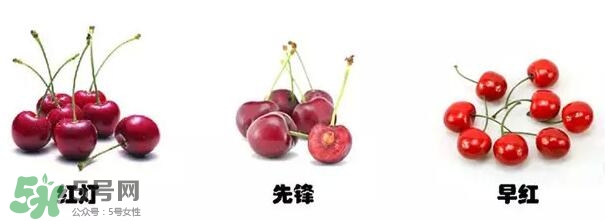 櫻桃和車?yán)遄佑惺裁磪^(qū)別？櫻桃和車?yán)遄幽膫€貴？