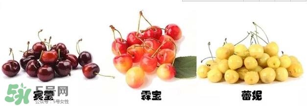 櫻桃和車?yán)遄佑惺裁磪^(qū)別？櫻桃和車?yán)遄幽膫€貴？