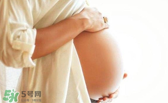 孕婦可以吃肉松蛋糕嗎？孕婦能吃肉松面包嗎