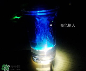 僵尸雞尾酒配方是什么？僵尸雞尾酒配方做法