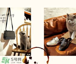 belle是什么牌子？百麗是哪個國家的品牌？
