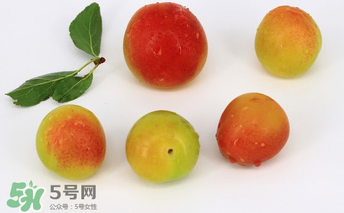 雙華李有什么營養？雙華李的營養價值