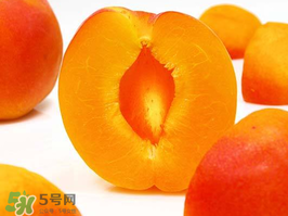 杏子幾月成熟？杏子什么時候成熟？