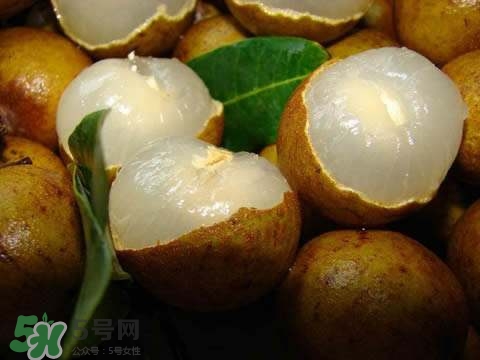 龍眼和桂圓是一種東西嗎？龍眼和桂圓的區(qū)別
