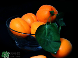 杏子可以和芒果一起吃嗎？吃完杏子可以吃芒果嗎？