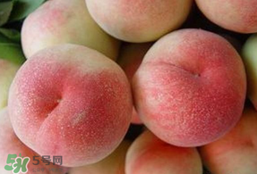 毛桃什么時候成熟？毛桃幾月份成熟？