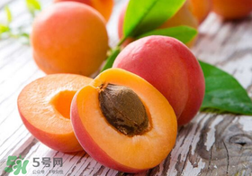 杏和西瓜能一起吃嗎？杏和西瓜能同時吃嗎？