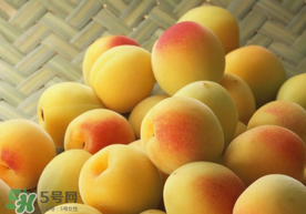 杏和雞蛋能一起吃嗎？杏子和雞蛋能一起吃嗎？