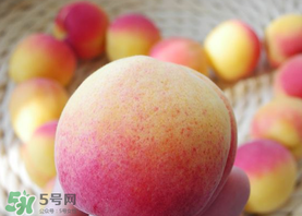 杏的熱量高嗎？一個杏的熱量是多少？