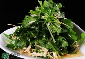 香菜是什么菜？香菜是陽痿草嗎？