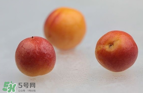 杏子怎么保存？長杏子怎么保存時間長？