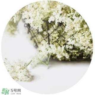 lululun plus面膜怎么樣？lululun plus面膜哪款好