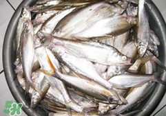 翹殼是什么魚(yú)？翹殼魚(yú)多少錢(qián)一斤2017？