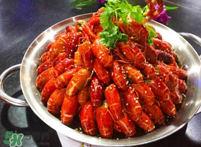 油燜大蝦吃哪些部位？怎么正確吃油燜大蝦？