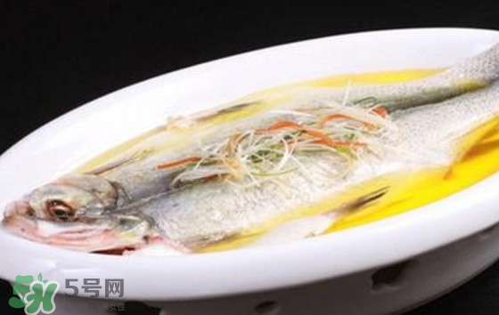 孕婦可以吃白條魚嗎？白條魚孕婦能吃嗎？