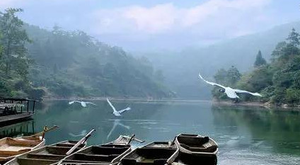 馬口魚能養殖嗎？馬口魚怎么養？