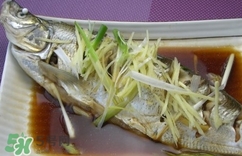 白條魚多少錢一斤2017？野生白條魚多少錢一斤