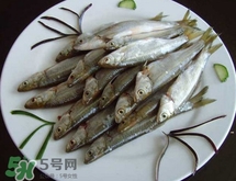 白條魚多少錢一斤2017？野生白條魚多少錢一斤