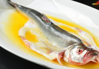 白條魚能長多大？白條魚可以長多大？
