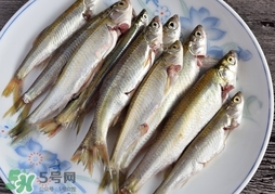 孕婦可以吃白條魚嗎？白條魚孕婦能吃嗎？