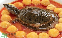 喝甲魚湯有什么好處？甲魚湯的功效與作用