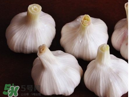 新蒜頭怎么弄成老蒜頭？新蒜頭和老蒜頭的區別