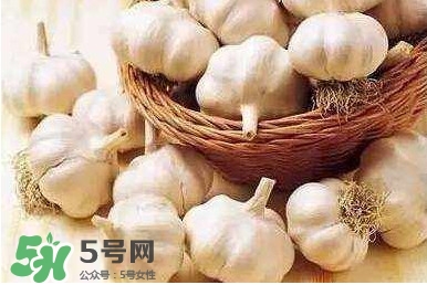新蒜頭怎么保存不發芽？新蒜頭怎么存放